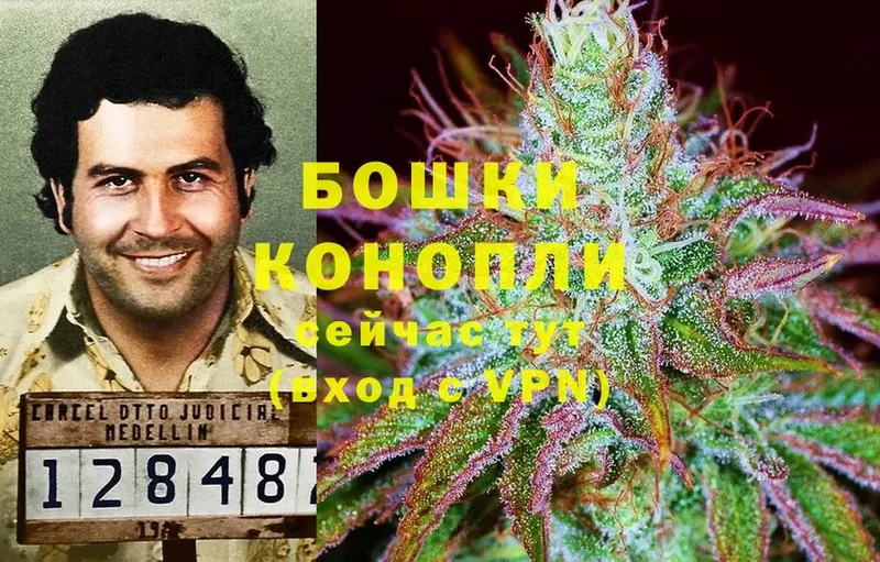 mega зеркало  Белозерск  Канабис Ganja  купить наркотик 